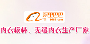 內(nèi)衣模杯、無(wú)縫內(nèi)衣生產(chǎn)廠(chǎng)家