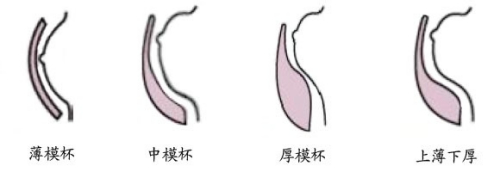 文胸模杯是什么-圖解